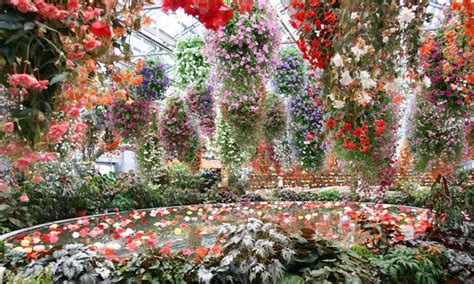 Sakura Magic and Nabana no Sato 1Day Bus Tour from Osaka - Klook India