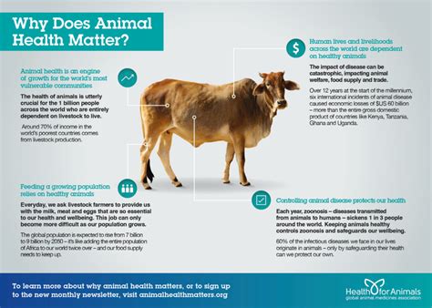 Animal Health
