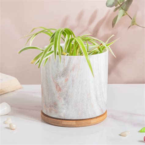 Carrara Ceramic Gold Detailed Planter With Wooden Coaster Online ...