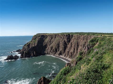 Visite nature de l'île de Grand Manan, la perle du Nouveau Brunswick