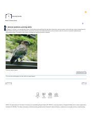 Image result for Animal Problem Solving