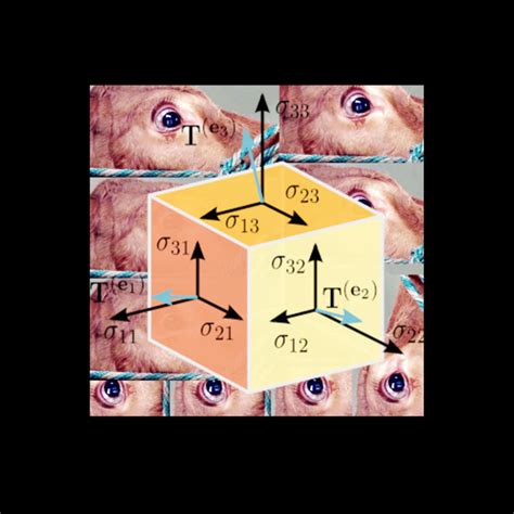 Image result for Tensor Calculus Examples