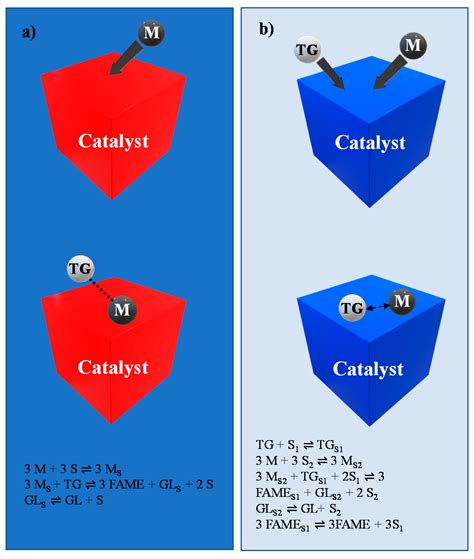Progress on Modified Calcium Oxide Derived Waste-Shell Catalysts for ...