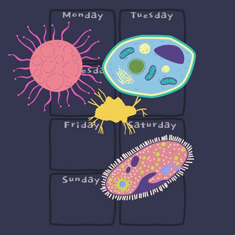 SoulUp | Real Conversations. Real People