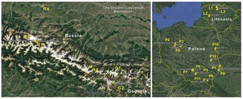Genetic Diversity and Population Structure Reveal Post-Introduction ...