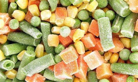 IQF Line, Indian Dairy Equipments & Fabricators