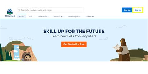 Image result for Salesforce Full Tutorial