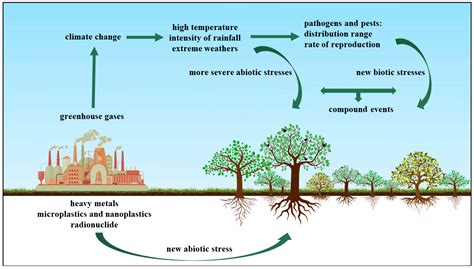 Abiotic and Biotic Stress Cascades in the Era of Climate Change Pose a Challenge to Genetic ...