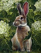 Image result for Abstract Rabbit Painting