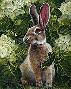 Image result for Watercolor Paintings of Bunnies
