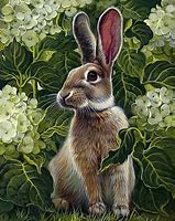Image result for Rabbit Paintings Flowers
