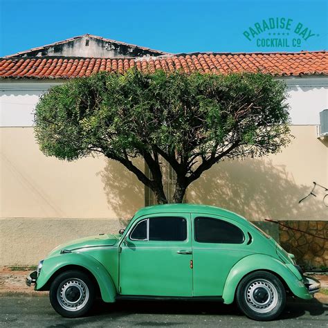 Go Local Extra Elland 的图像结果