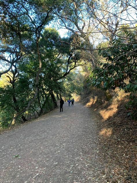 Stevens Canyon Trail - California | AllTrails