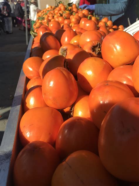 Oranges In Spanish Fruit at Keith Ramsay blog