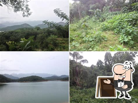 Top 5 restaurants with grilled chicken in Vagator, september 2025 ...