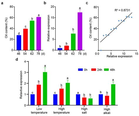 Exploring Functional Gene XsPDAT1’s Involvement in Xanthoceras ...