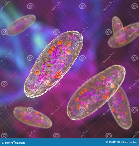 Genus Of Yersinia Pestis