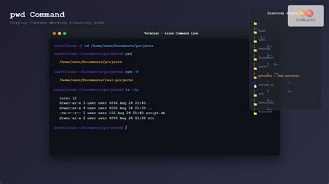 Image result for Pwd Command vs Code Python