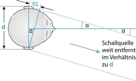 Lokalisation – Dorsch - Lexikon der Psychologie