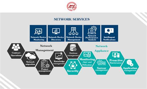 Intelligent Network 的图像结果