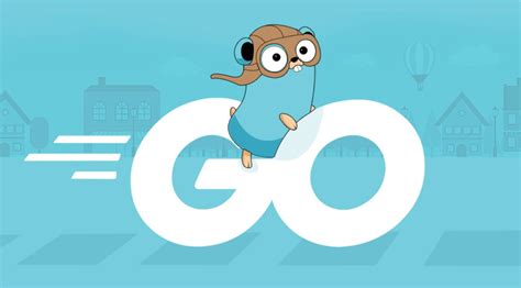Image result for Go Explained