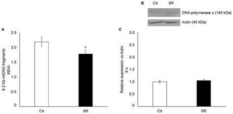 Repeated Rounds of Gonadotropin Stimulation Induce Imbalance in the ...