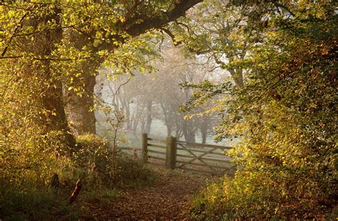 Discover dazzling autumnal walks in Suffolk with the National Trust ...