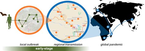 Image result for Pipp Tutorial