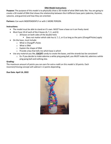 DNA Model Tutorial 的图像结果