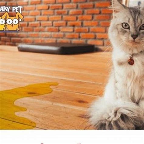 Image result for Array Data Type Integer Data Type