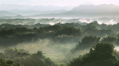 Nature Aesthetic Wallpaper 的图像结果