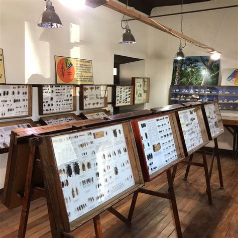 MUSEO ENTOMOLOGICO DE VICUNA (2026) All You Need to Know BEFORE You Go ...