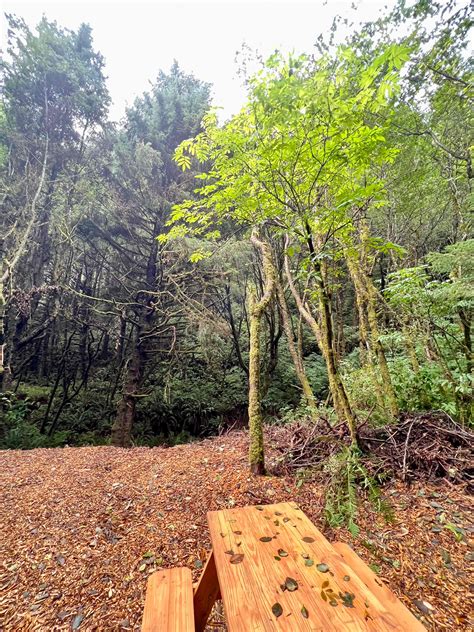 Whispering Tides - Hipcamp in Yachats, Oregon