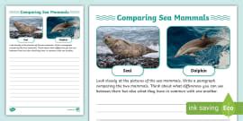 Comparing Mammals Worksheet