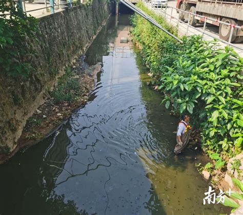 江门12条黑臭水体治理见实效，市民赞叹水清景美_腾讯新闻