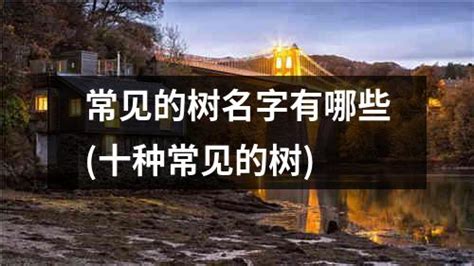 树的画名字,树画的名称好听,给一幅树的画起名字(第10页)_大山谷图库