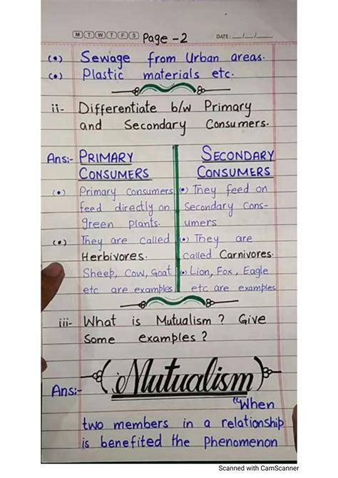 Image result for 8th Grade Notes