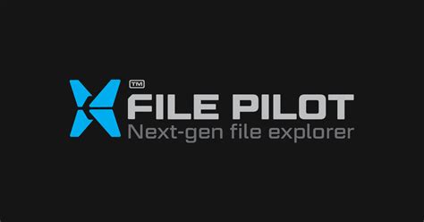 Image result for File Pilot Windows