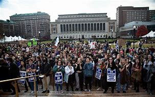 Image result for Columbia University protest