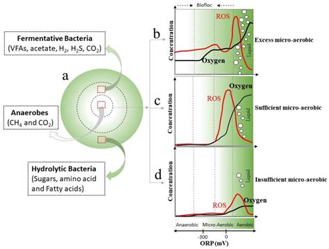 A Comprehensive Review for Strategies to Promote Anaerobic Digestion ...