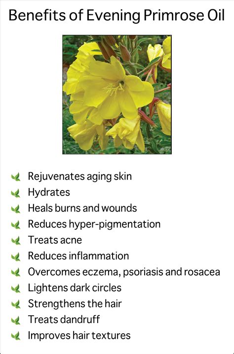 Benefits of Evening Primrose Oil. We use this lovely carrier oil in our ...