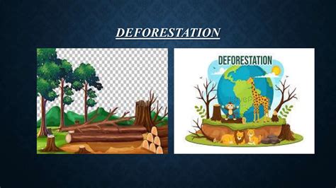 Causes and effects of deforestation and solutions of deforestation | PPT