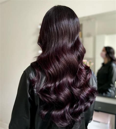 Plum Black Hair Color