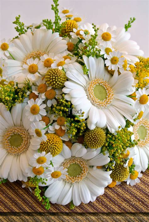 7 Gerbera Daisy Arrangement Ideas for This Summer (With images) | Daisy ...