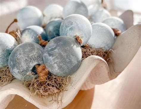 57 Giant Clam Shell Decor Ideas