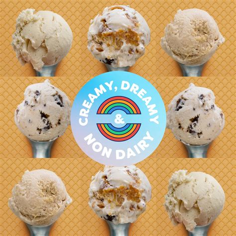 Creamy, Dreamy & Non-Dairy Bundle – Double Rainbow Ice Cream