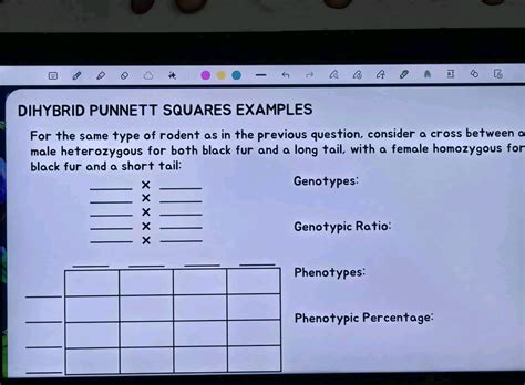 DIHYBRID PUNNETT SQUARES EXAMPLES For the