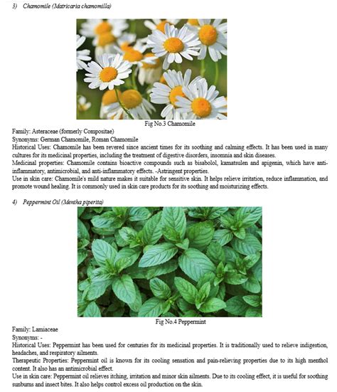 The Healing Power of Nature: Exploring Herbal Ointments for Skin Wellness