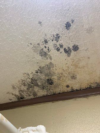 BLUESTONE INN (Washington Court House) - Motel Reviews, Photos, Rate ...