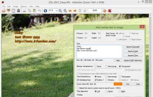 Image result for XnView Alternatives